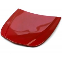 Car hood DS20181C