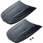 Car hood DS20176B