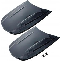 Car hood DS20176B