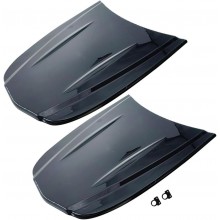 Car hood DS20176B